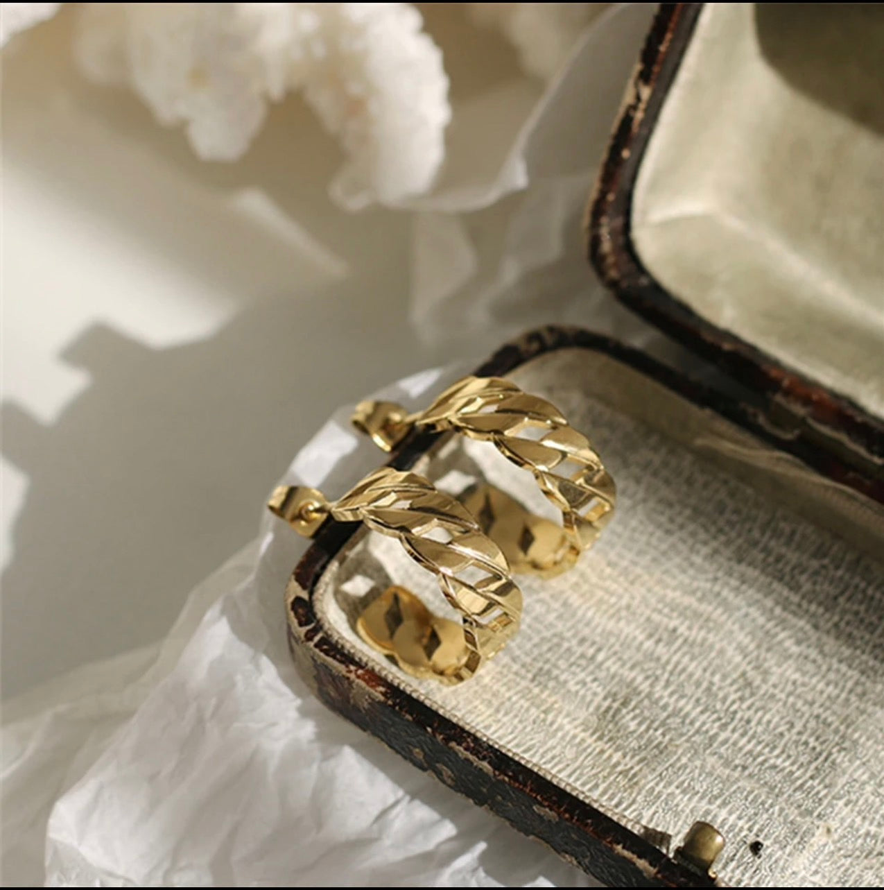 SUNIBI Stainless Steel Earrings