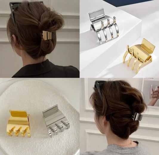Women Metal clip Hair.